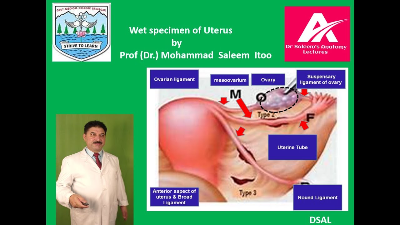 WET Specimen of Uterus  described by Dr Saleem  Itoo Professor at GMC Srinagar, Kashmir,India