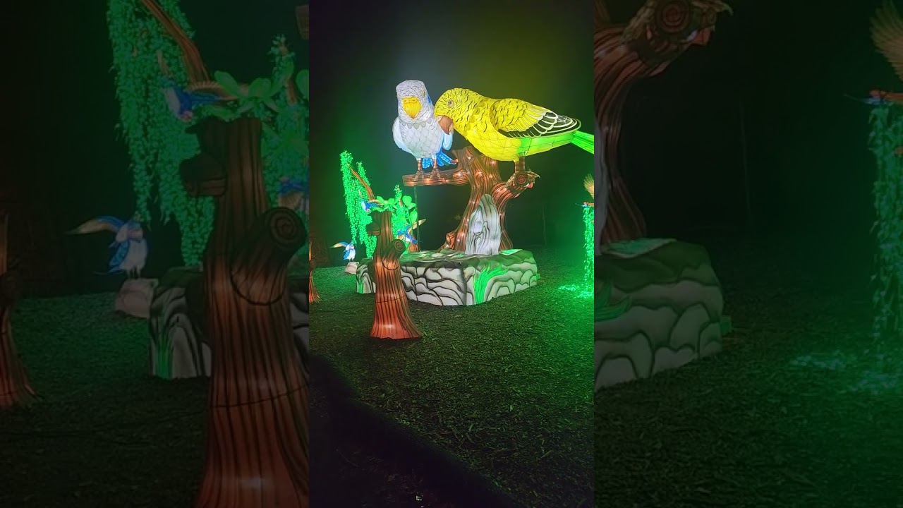 Love birds at the Connecticut's Beardsley Zoo Glow Wild Lantern Festival #lovebirds