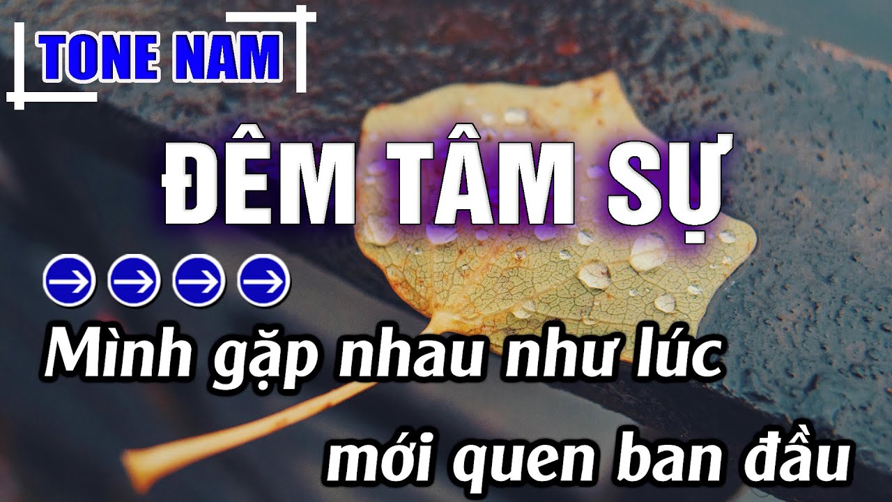 Đ&ecirc;m T&acirc;m Sự Karaoke Tone Nam ( Dm ) Beat Hay | Karaoke Đăng Kh&ocirc;i
