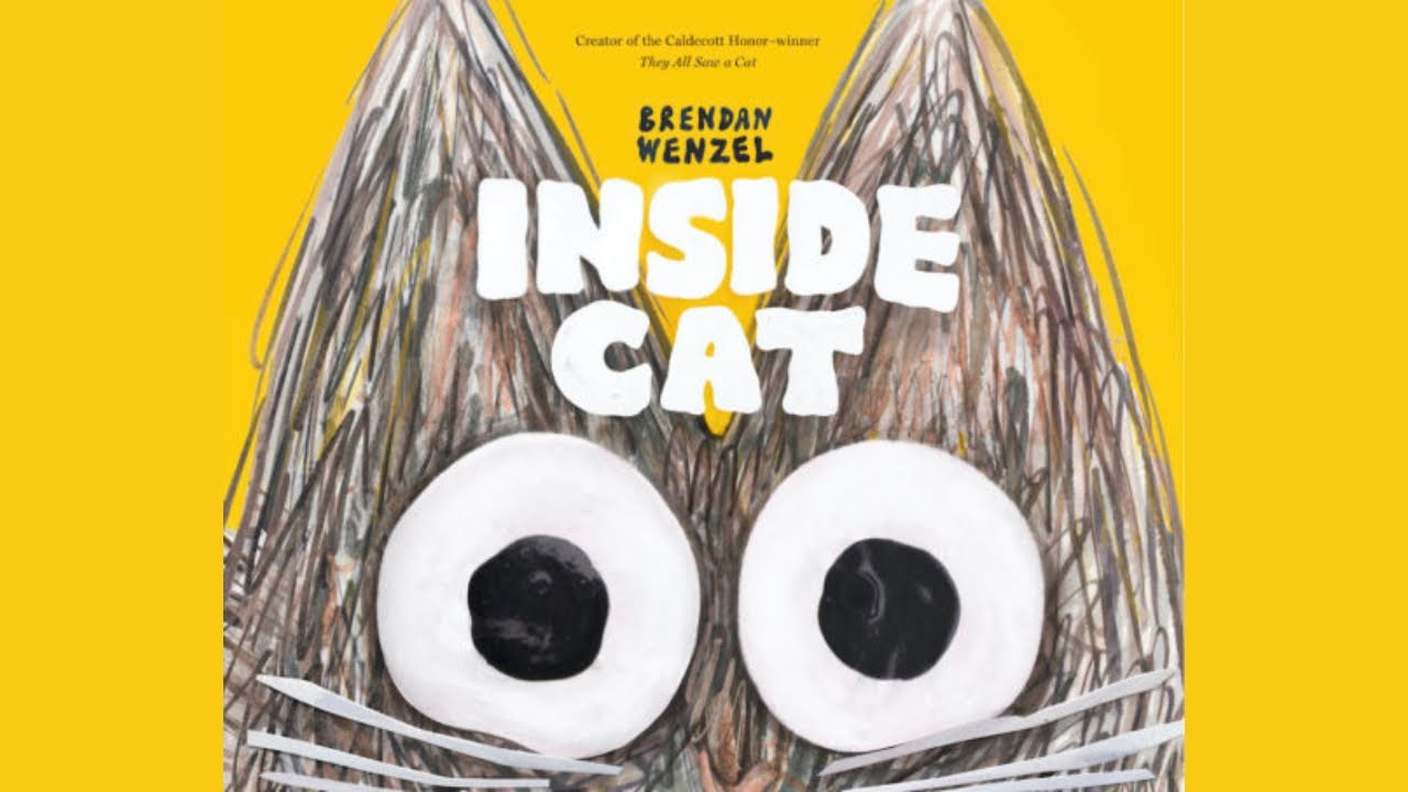 Inside Cat 