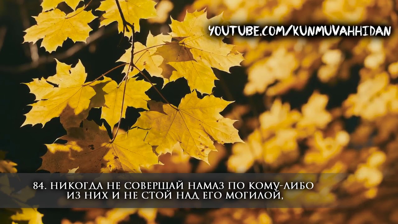 Ибрахим аль-Асири. Сура 9 &laquo;Покаяние&raquo; (81-87)