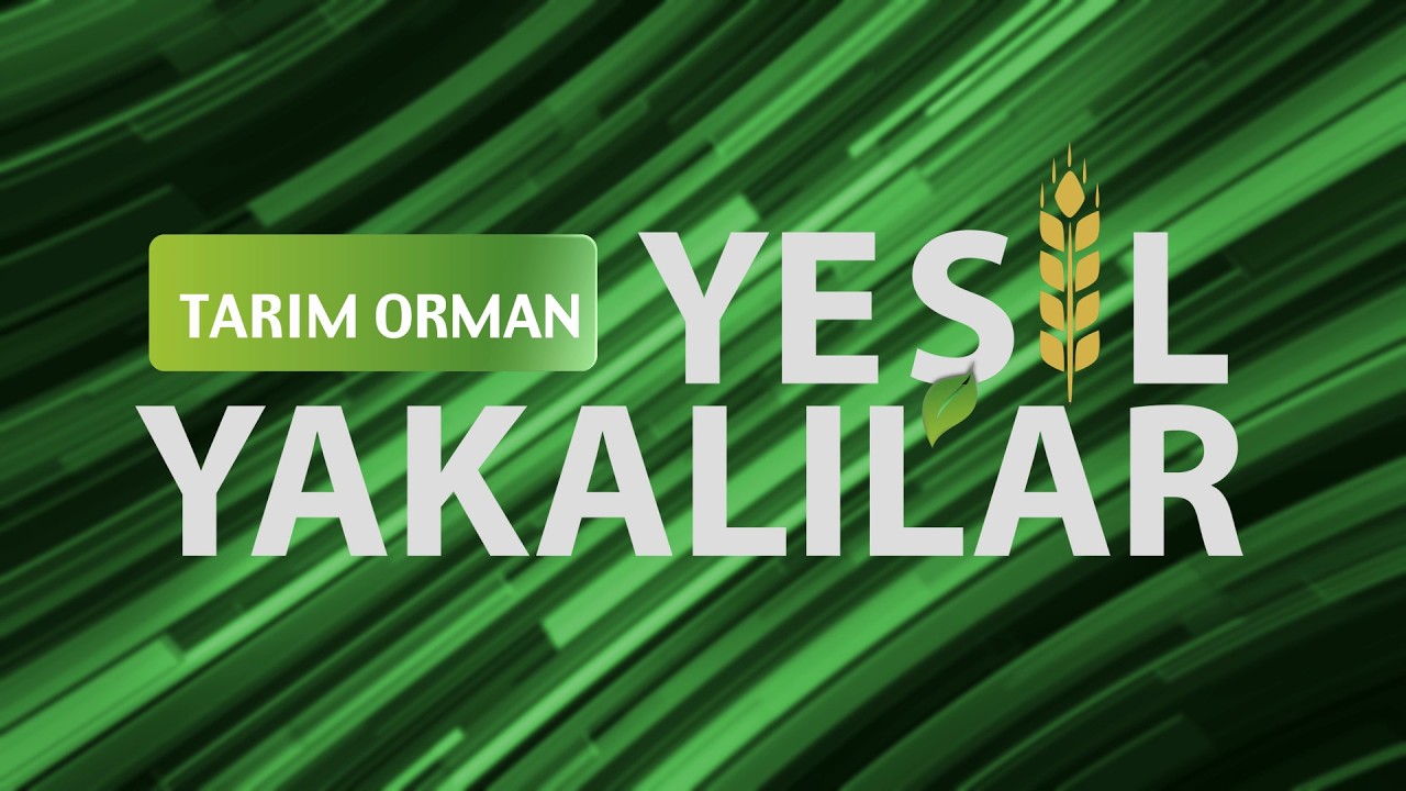 Tarım Orman Yeşil Yakalılar 🍀 Aksaray Üniversitesi Rektörü Prof. Dr. Alpay Arıbaş