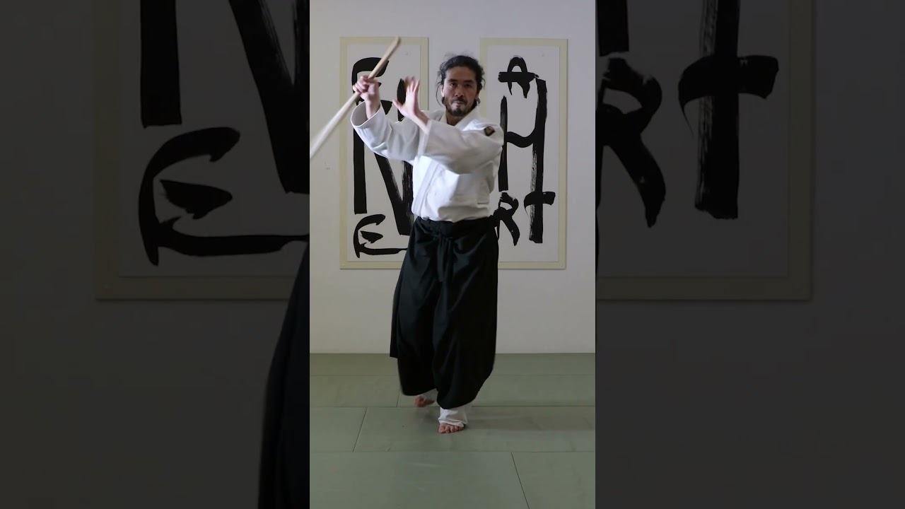 Aikido jo free 
