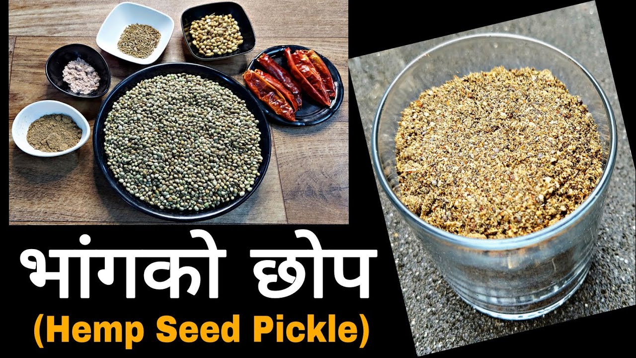 ५ बर्षसम्म Store गर्न मिल्ने भांगको छोप यसरी बनाउनुहोस || Bhang ko Chhop || Hemp Seed Pickle Recipe