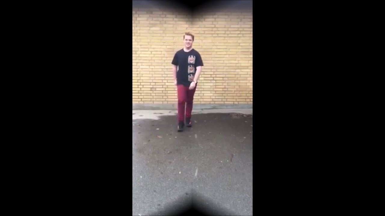 Skovboskolen nomineringsvideo 2017