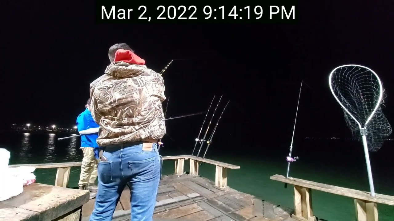 Dont be peir hogs like the ones we encountered right when the fish started to bite .