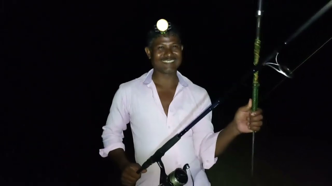 baramundi catches with fire tiger shrimp 🦐🦐 with one new angler