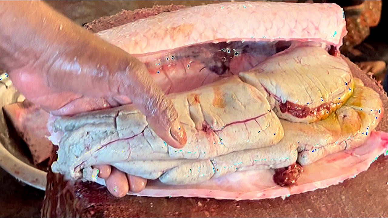 Fish Eggs Collections | Big Mrigal Fish Cutting & Chopping By Expert Fish Cutter