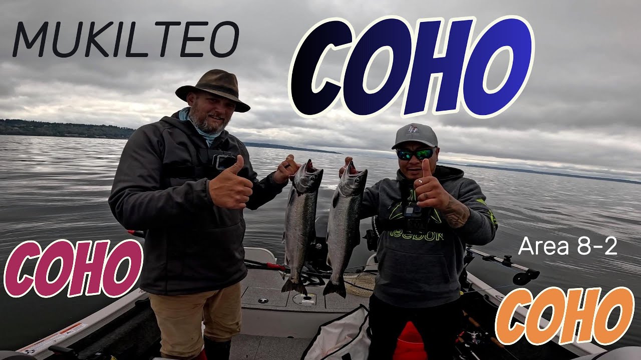 Mukilteo COHO