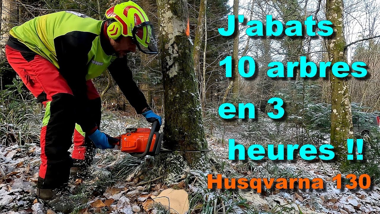 10 arbres abattus en 3 heures… défi relevé 😳 Husqvarna 130 🌳🪓🪵🪚🌲