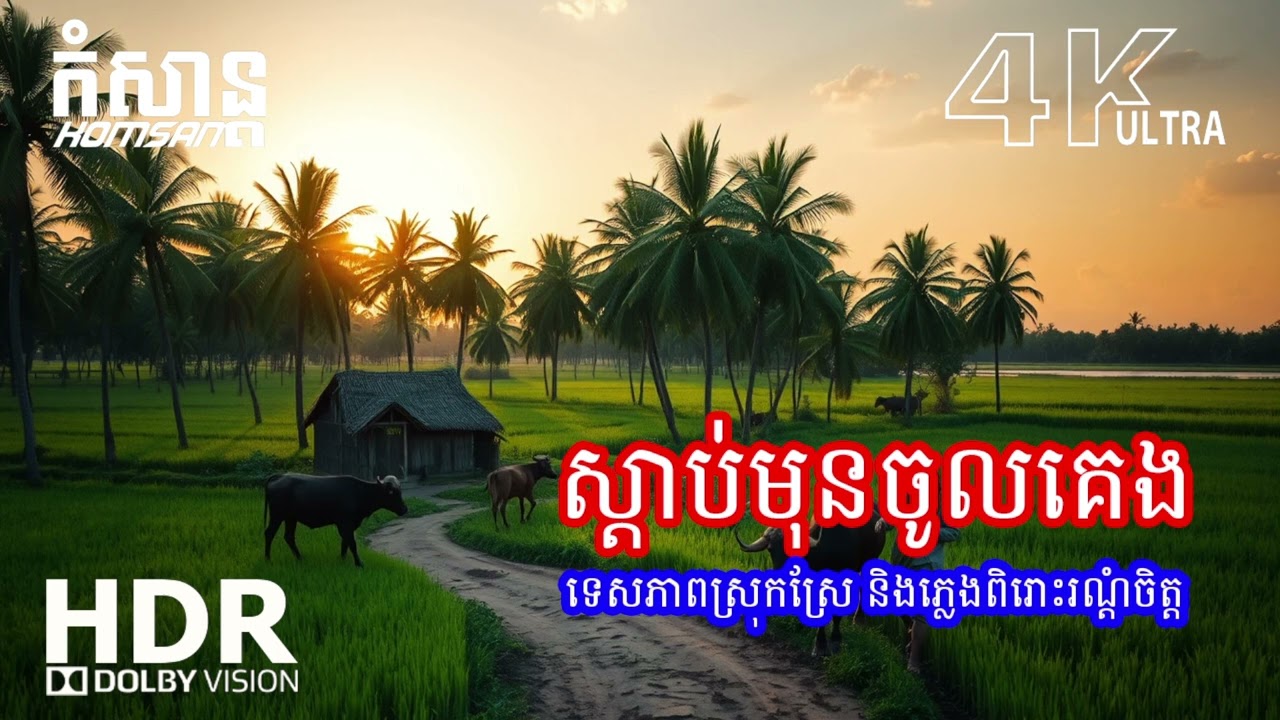 🌿 សម្លេងស្រទន់បំបាត់ស្ត្រេស – តន្ត្រីសម្រាប់ការសម្រាកយ៉ាងជ្រាលជ្រៅ