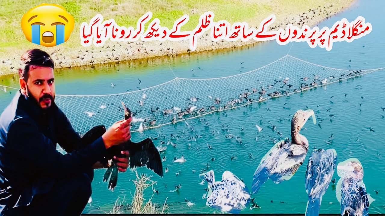 Mangla dam par parandoo ka sath atna zulam 😱