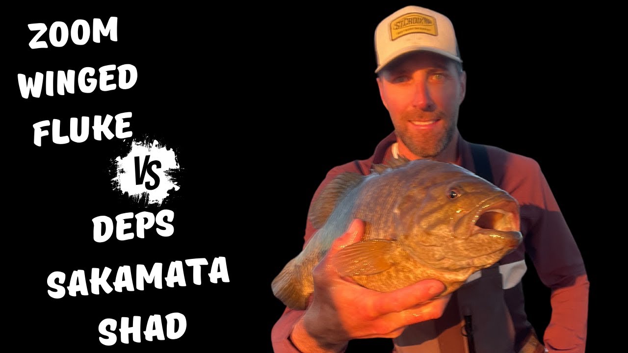 Shaking a Minnow, Which bait is best.  The Zoom Winged Fluke or Deps Sakamata Shad?