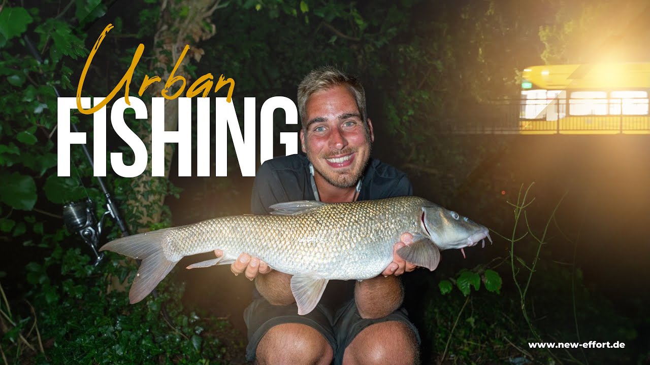 Karpfenangeln in der Stadt | URBAN FISHING