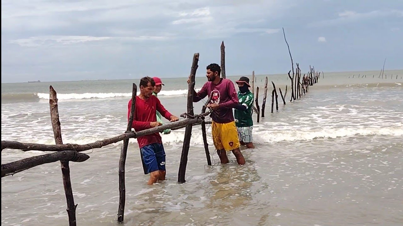 MUITA AÇÃO E AVENTURA. VEJA COMO É CONSTRUÍDO UM CURRAL MARINHO.