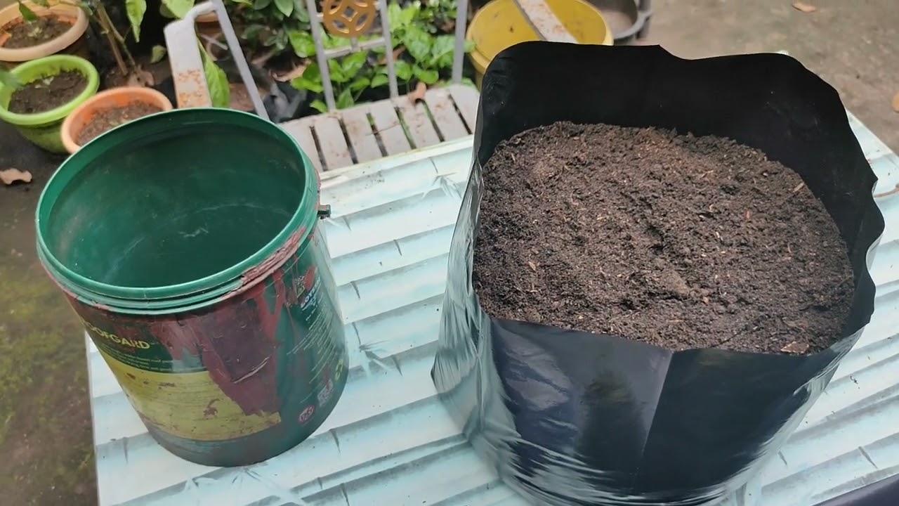 Plants Nursery Bag 8x8x14 - Versatile Polybag for many Plants