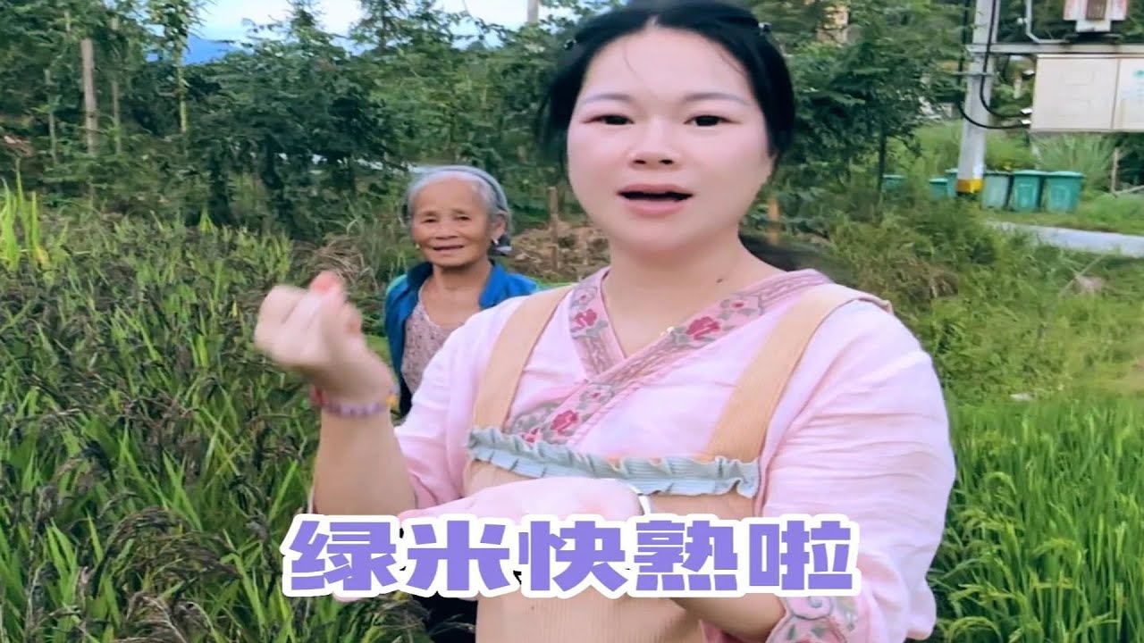 七宝和妈妈来基地玩啦，大伙又有餐加啦，秋子带他到田间地头走走，在田边遇到了姑妈，她说绿米产量太低了，别人都不愿意种