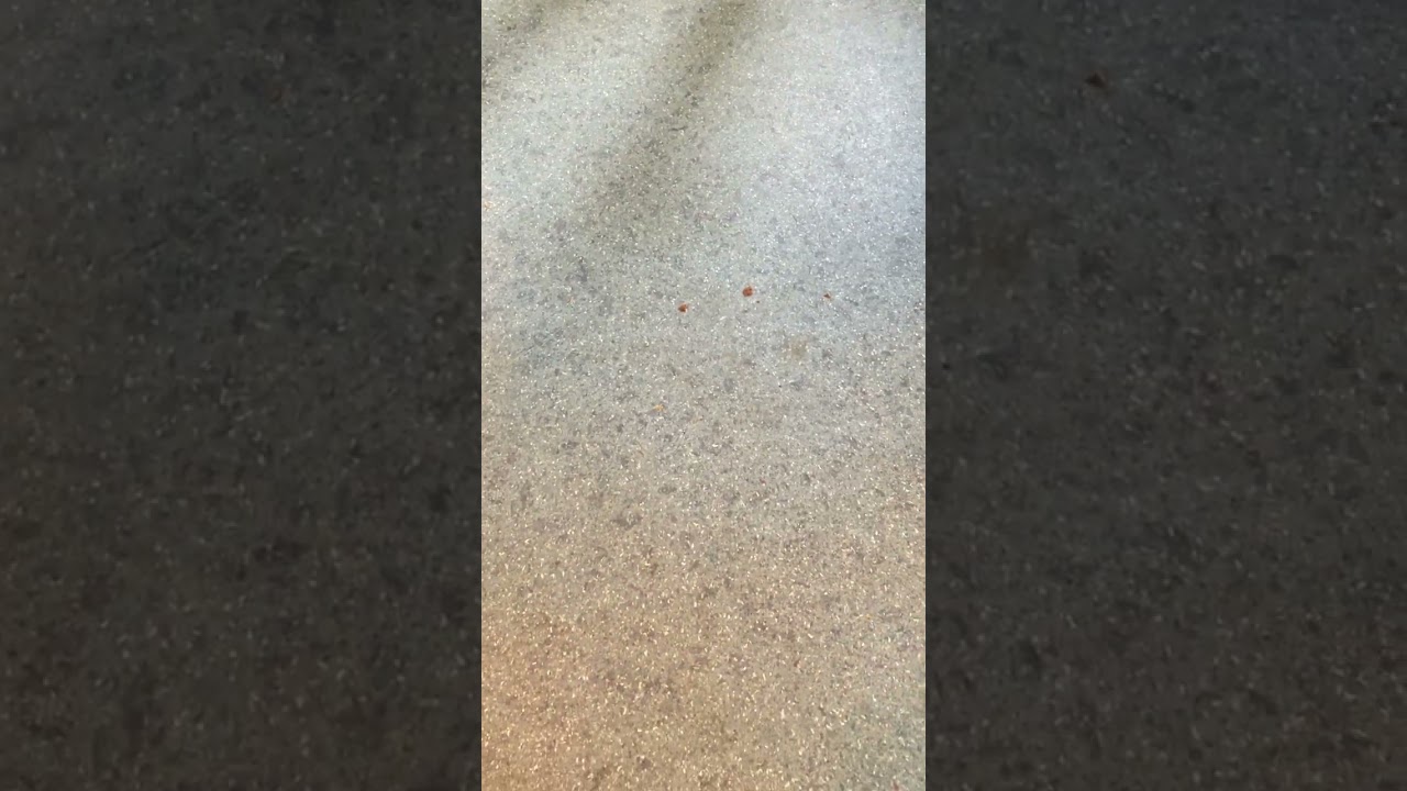 Attack by electric wave IMG 9810(1)2026, 3, 29