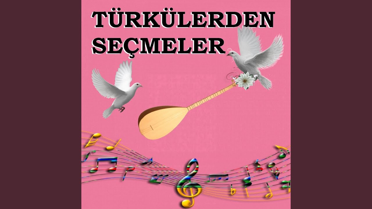 Şu Kanlı Zalimin Ettiği İşler