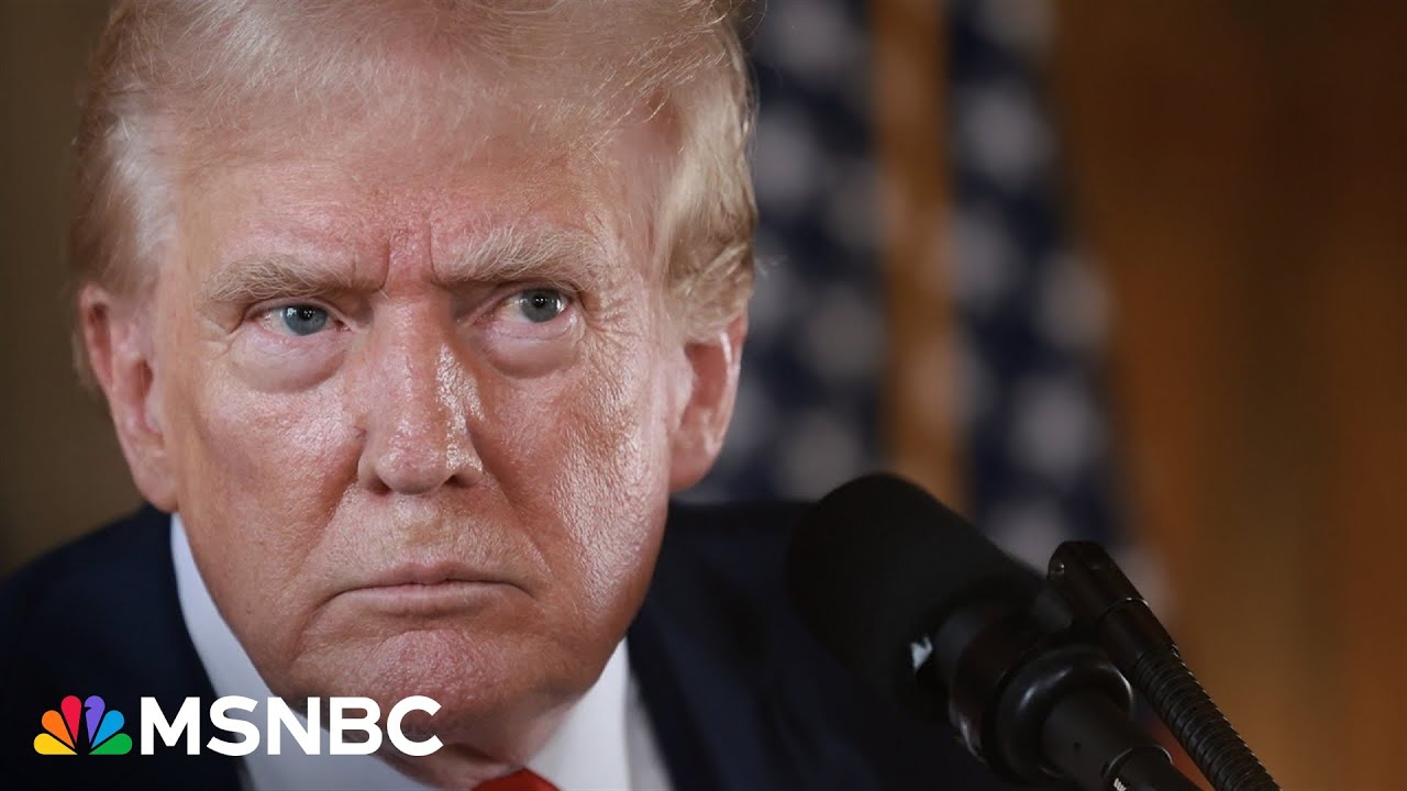 ‘Assault on the foundations of multi-racial democracy’: Journalist slams Trump admin’s arguments