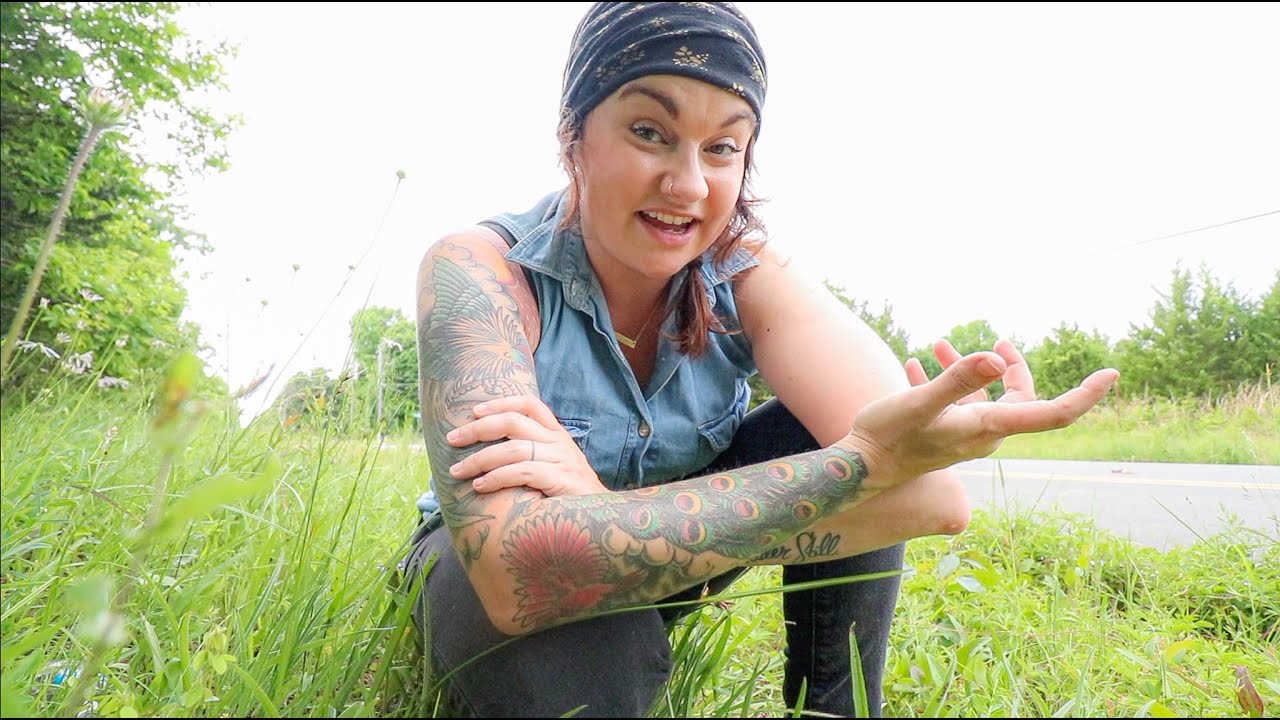 The Important Story of Wild Blackberries | Vlog