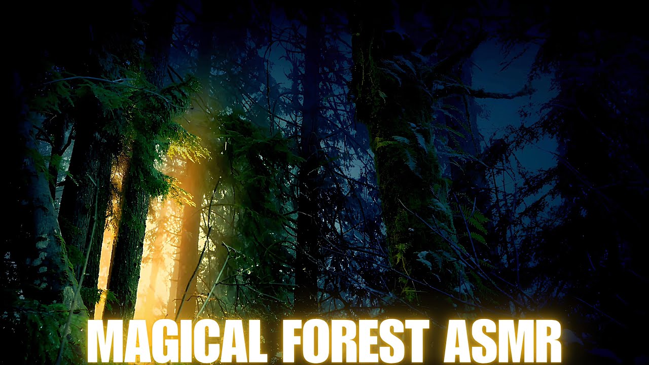 Magical Forest ASMR | Golden Light & Nature Sounds for Deep Relaxation | 4K Screensaver