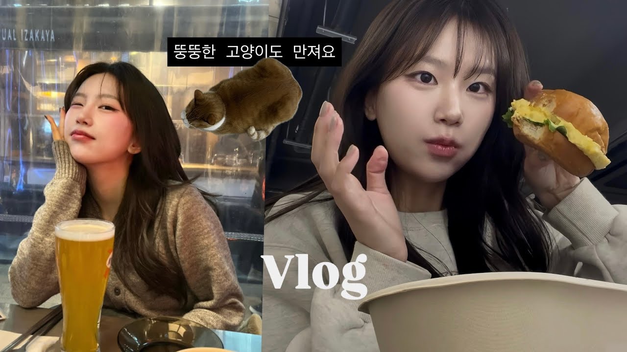 직장인인데 대학원생인데 암튼 새해 일상 브이로그... | 본가가서 고양이 잔뜩만지기
