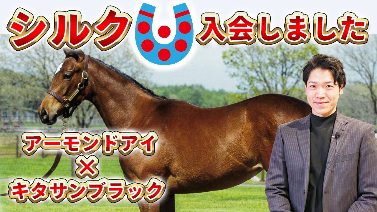 【一口馬主】シルクホースクラブでG1制覇への道が始まりました