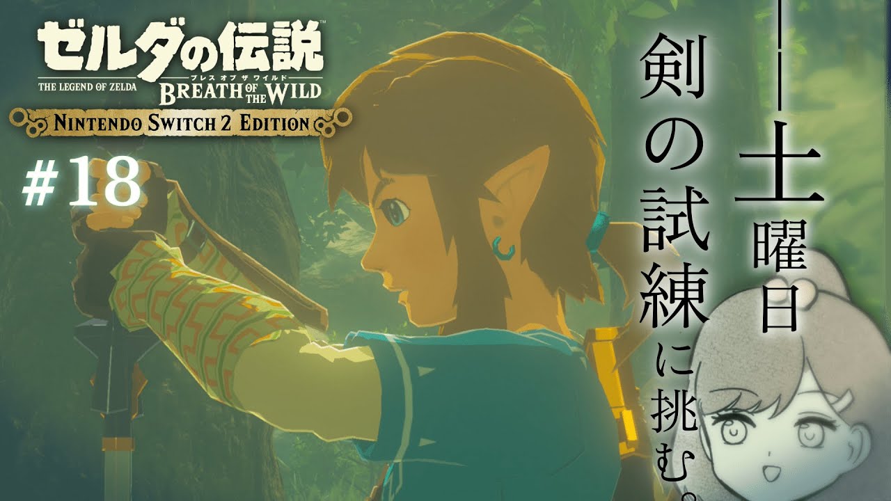 【＃ゼルダの伝説 ブレスオブザワイルド】剣の試練（中位）を何回でクリアできるのか!?/Nintendo switch2 Edition　#18