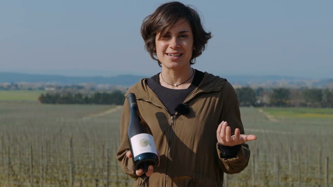 DO Empordà- Celler Mas Geli, 'Sense Pressa', 100% garnatxa blanca