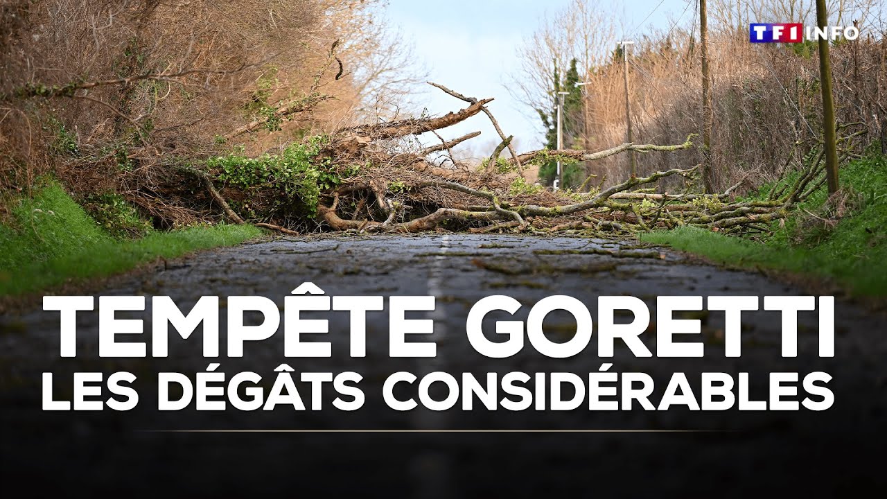 Tempête Goretti : les dégâts considérables｜TF1 INFO
