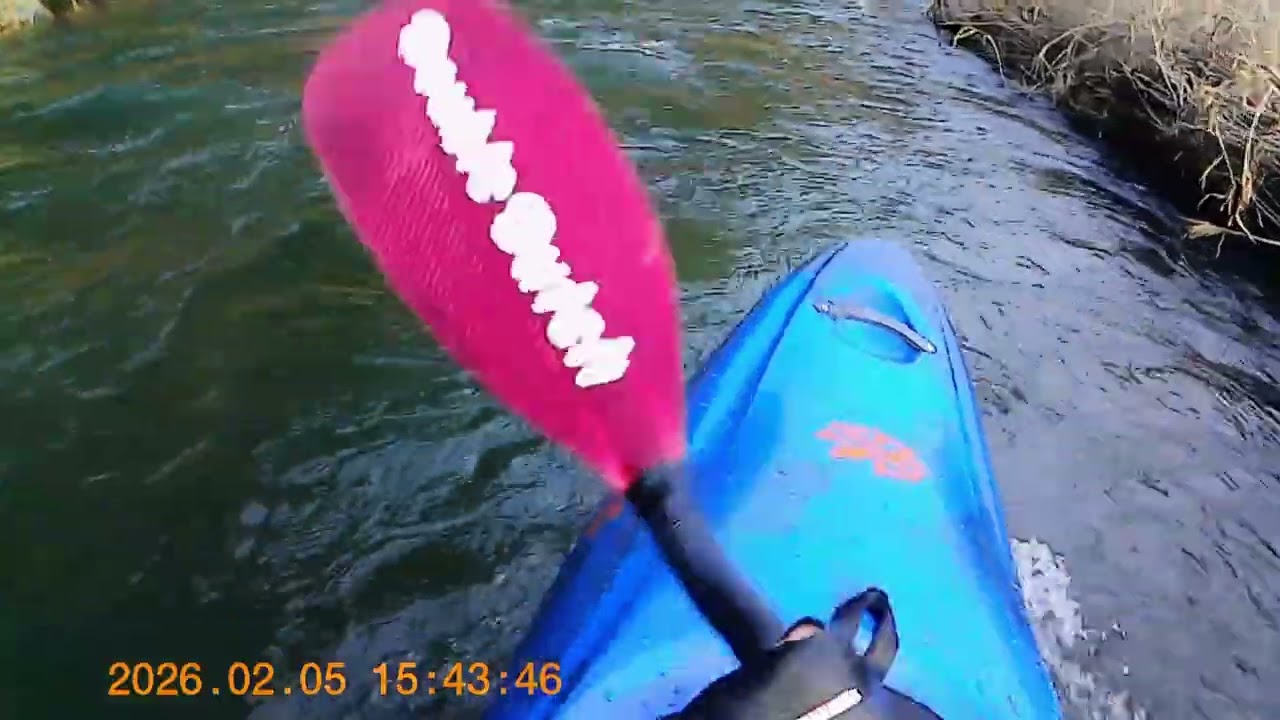 多摩川ダウンリバー　中流　ダイジェスト　テニスコート～釜の淵公園　（調布橋水位-2.79）2026/2/5