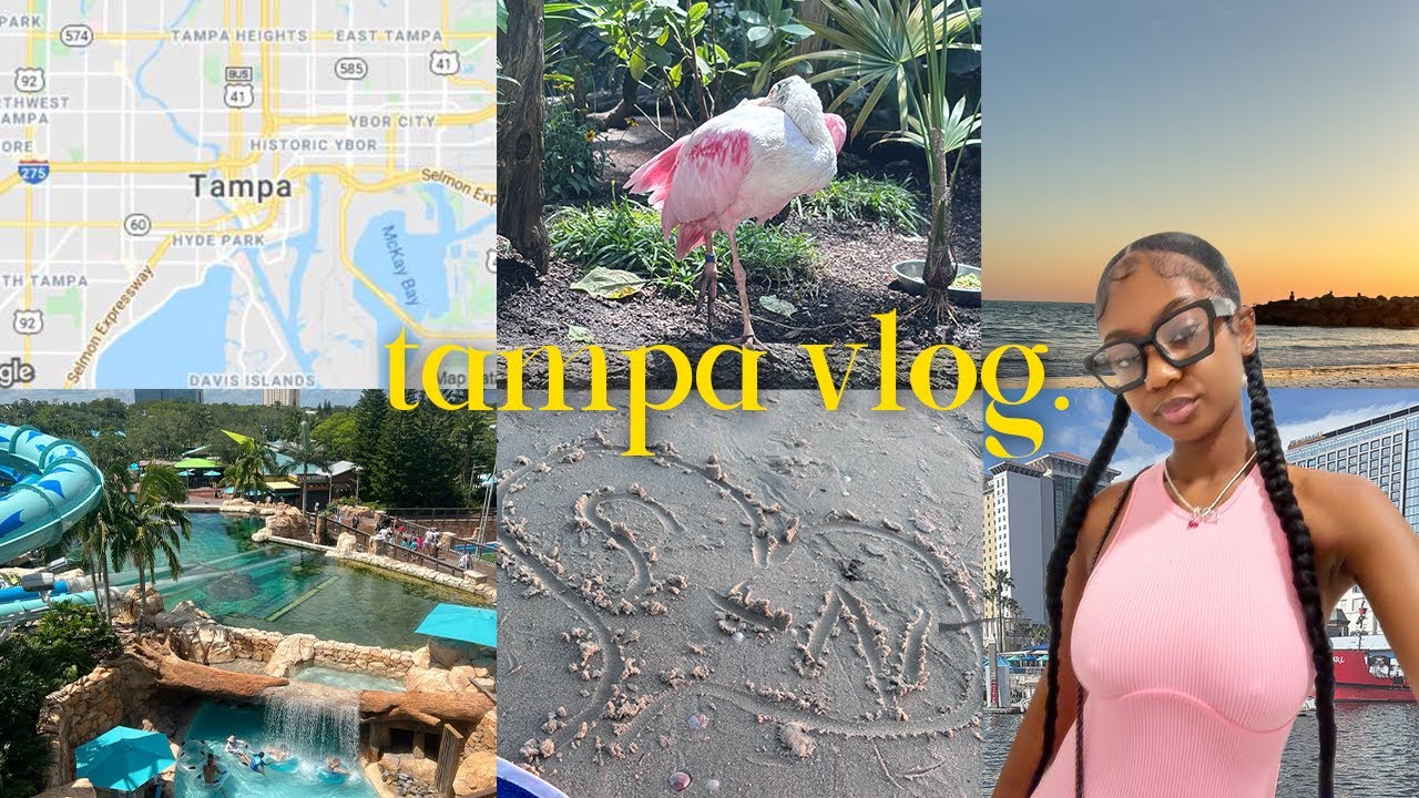 travel vlog: tampa fl 🥥🐬🌼 first baecation, aquarium, st.pete beach, river walk, boat ride.