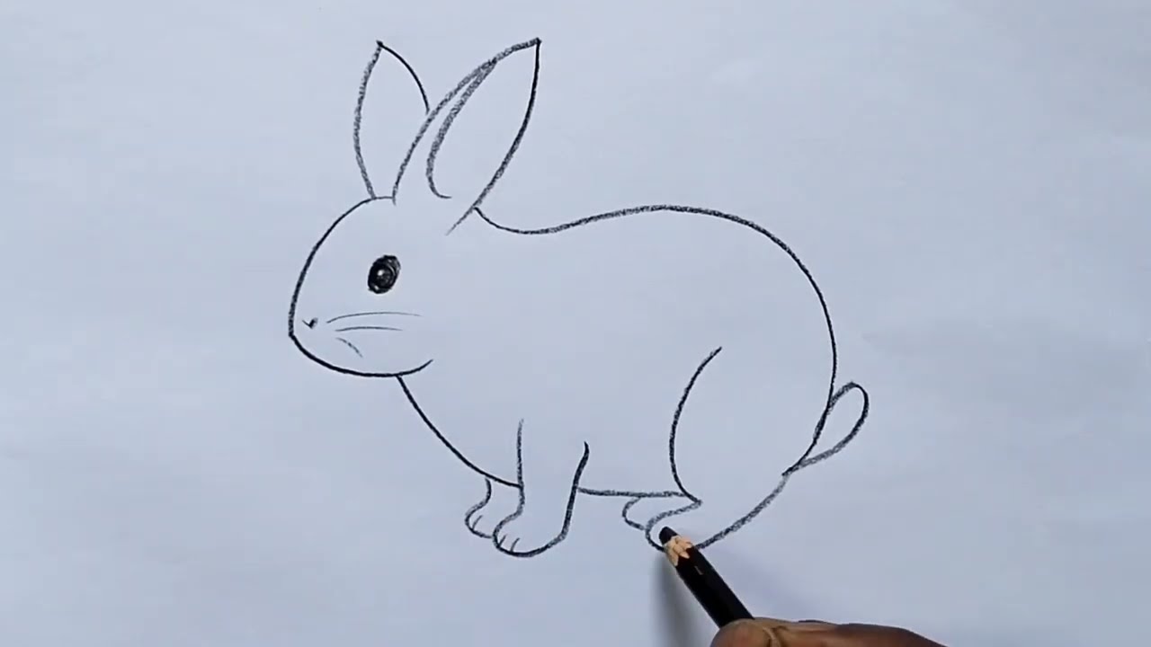 how to draw rabbit drawing easy step by step@DrawingTalent