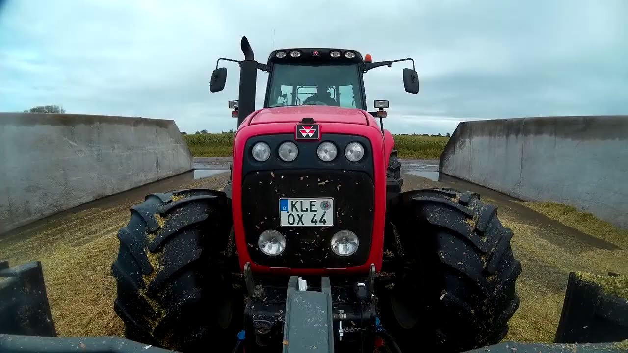 Massey Ferguson 8480 schiebt Mais - pushing corn