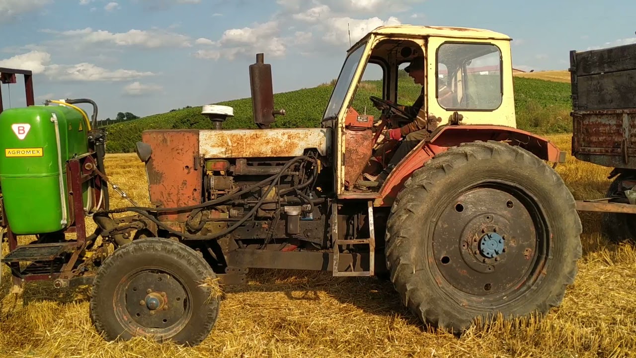 Żniwa 2020 JUMZ +8 ton przenicy przyczepa 6 t + mega zakładki czy wyjedzie pod górę