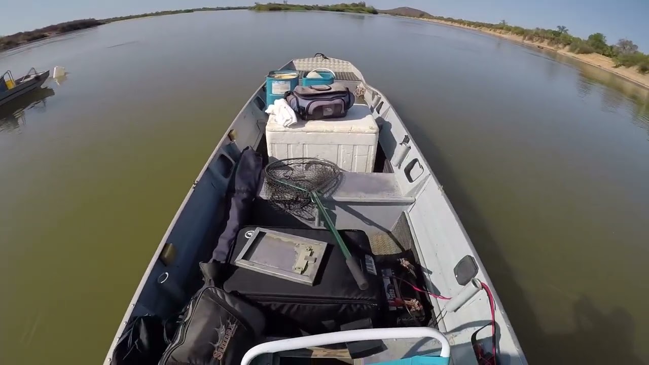 Pescaria de #caranha #piapara e #piauçu no rio São Francisco