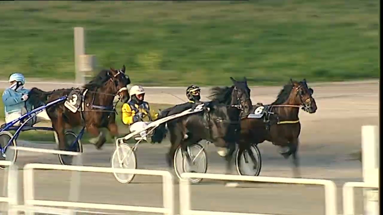 Napoli Trotto 02/03/2026 - 7ª corsa