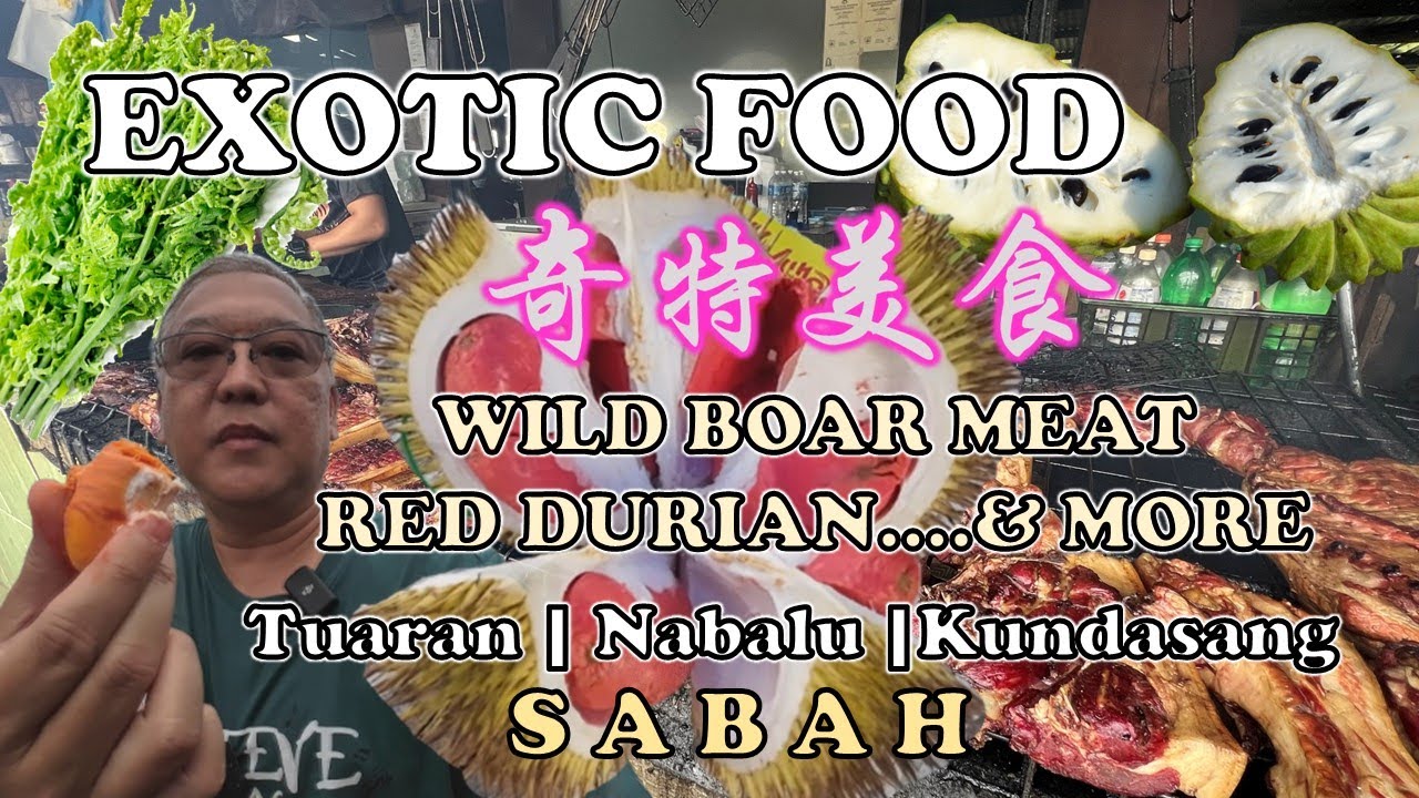Exotic Food Sabah |奇特美食 - 沙巴| BBQ WILD BOAR | RED DURIAN | TUARAN | NABALU | KUNDASANG | TAMPARULI