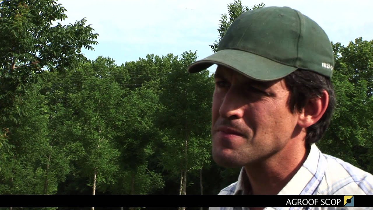 AGROFORESTERIE enjeux et perspectives - PARTIE 2