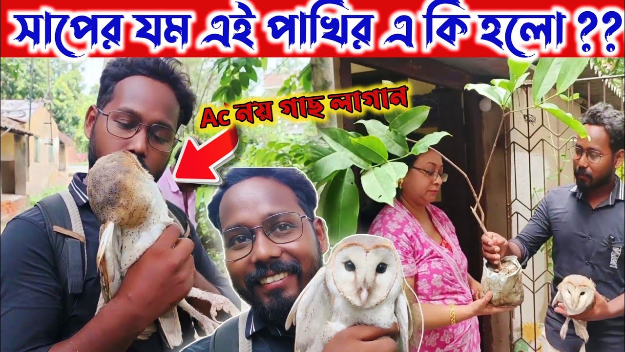 সাপের যম এই পাখির এ কি হলো❓️গরমে AC নয় গাছ লাগান 🌿 | Samiran Barik Rescuer |