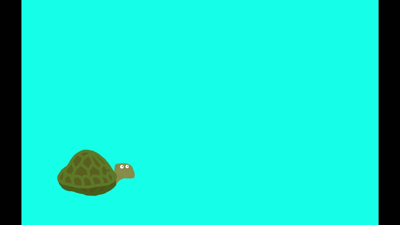 bonglord turtle