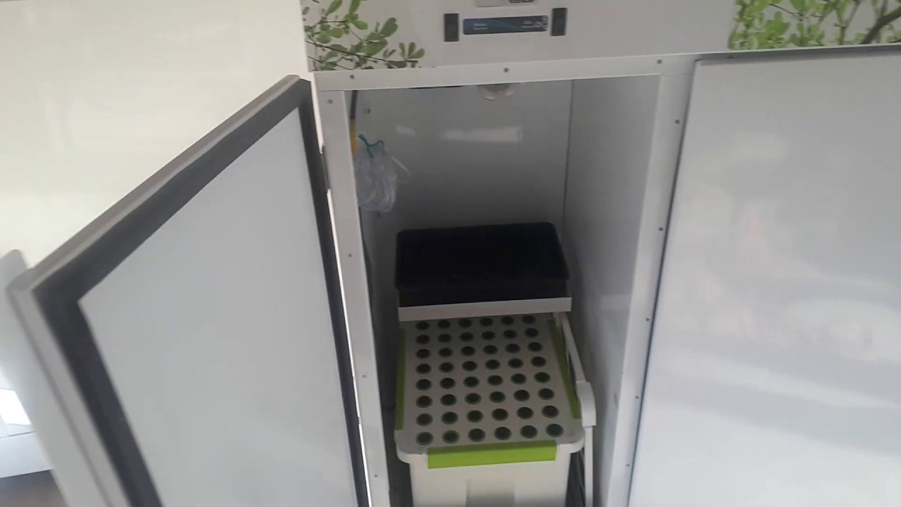 Продаются гроубоксы BloomBox и Producer в Эдмонтоне.