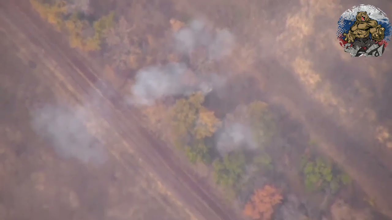 🇺🇦152 mm SpGH DANA was destroyed by drone.