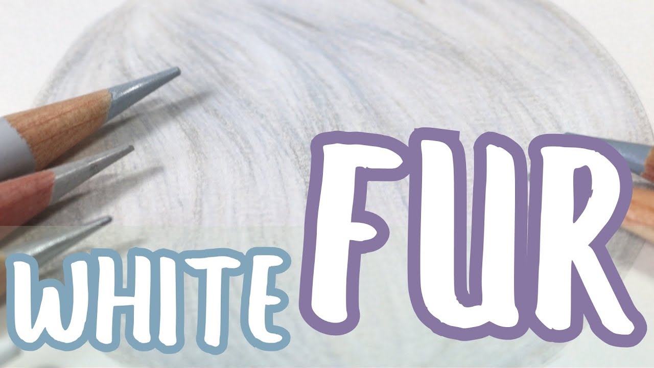 How to Draw White Fur | Coloured Pencil Tutorial