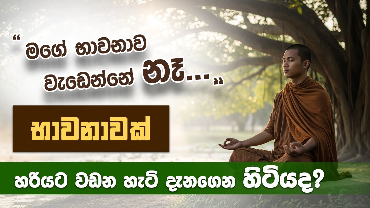 භාවනාව හරියට වඩන හැටි දැනගෙන හිටියද? | Niwan Dakimu​