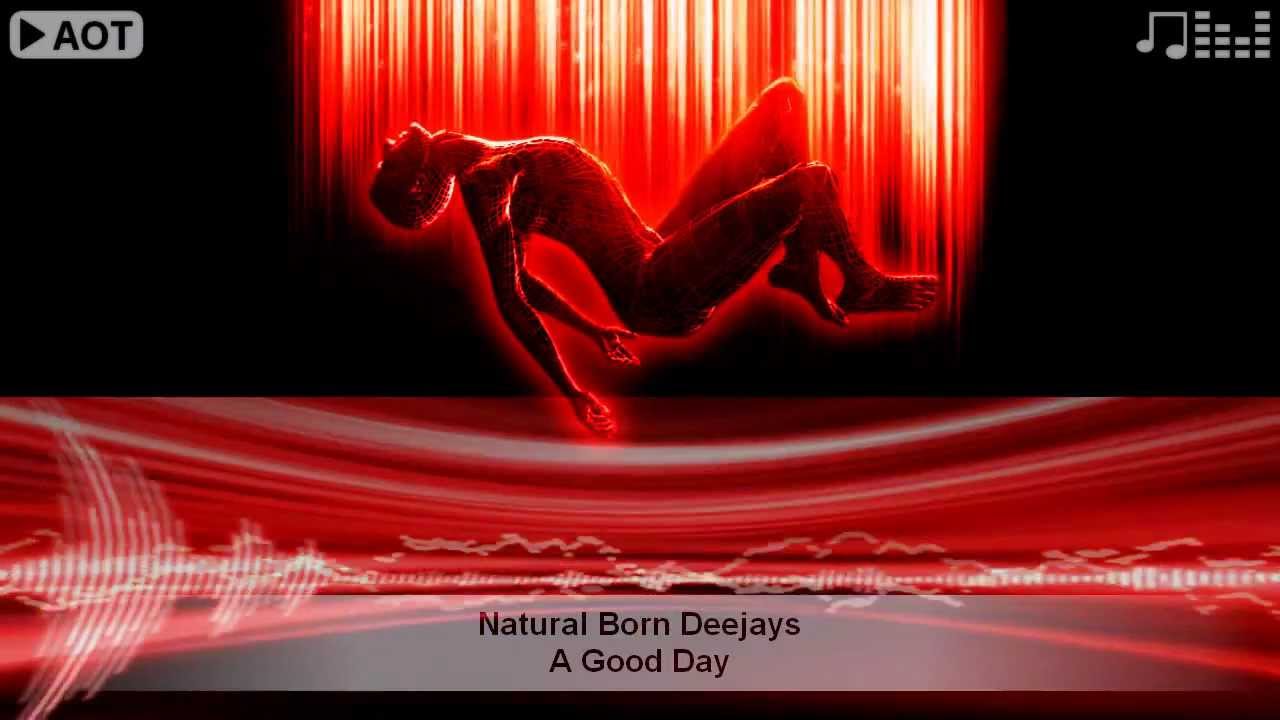 Natural Born Deejays - A Good Day