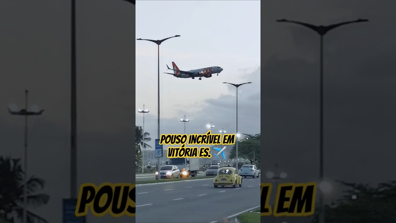 Sensação de liberdade! Ver um avião de perto é outra história 