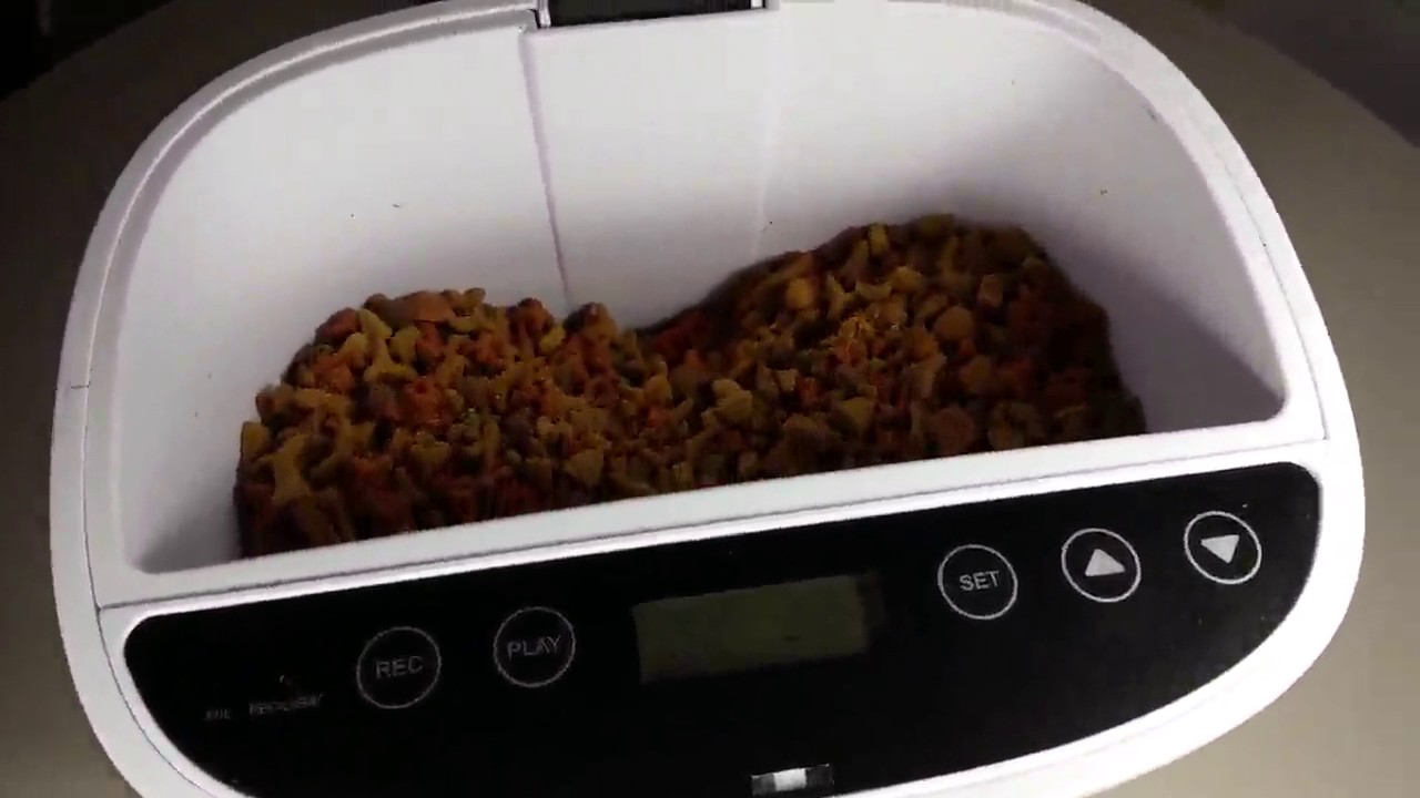 PetSinc Futterautomat, Automatischer Futterspender für Katzen & Hunden