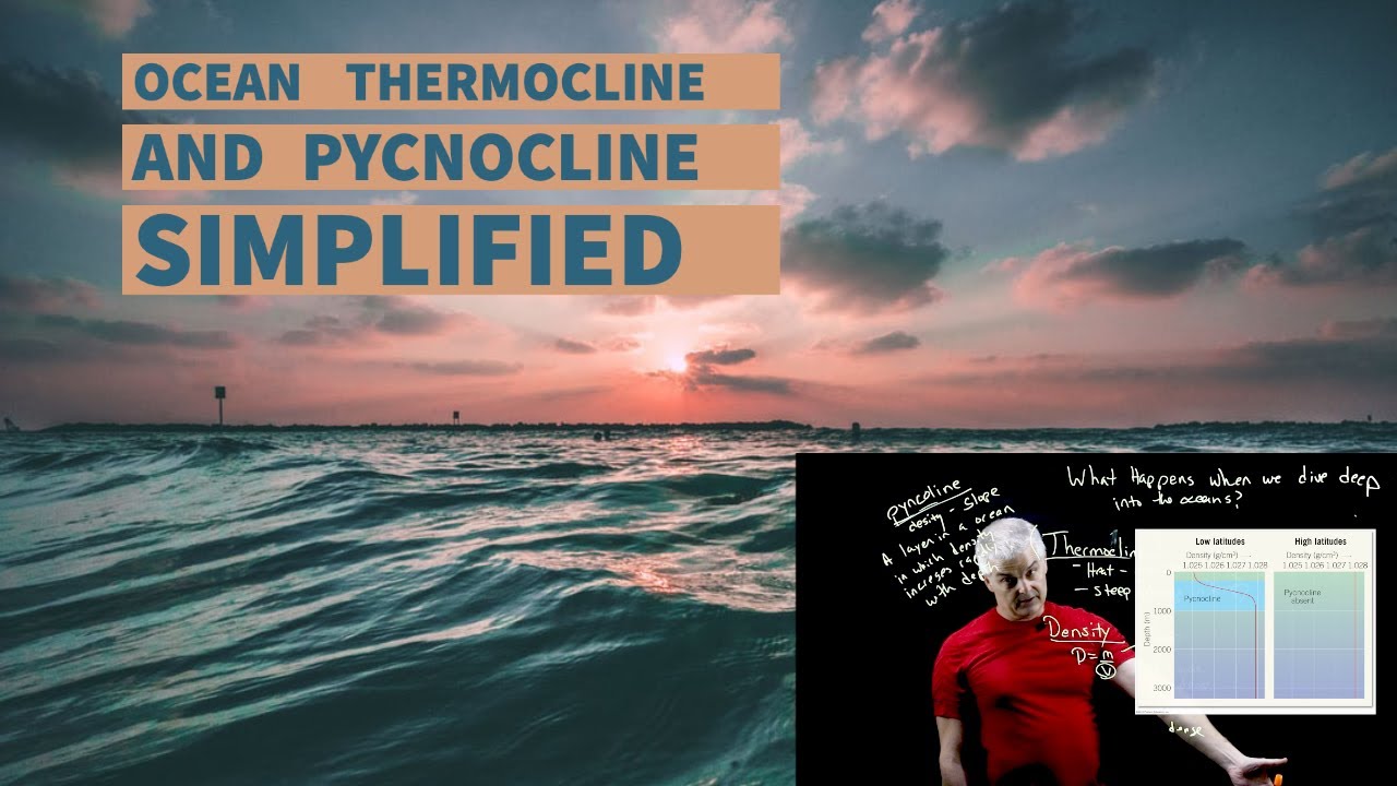 Ocean Thermocline and Pycnocline Simplified